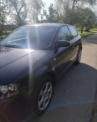 Audi A3 cena 8000 przebieg: 295605, rok produkcji 2003 z Sokółka małe 211